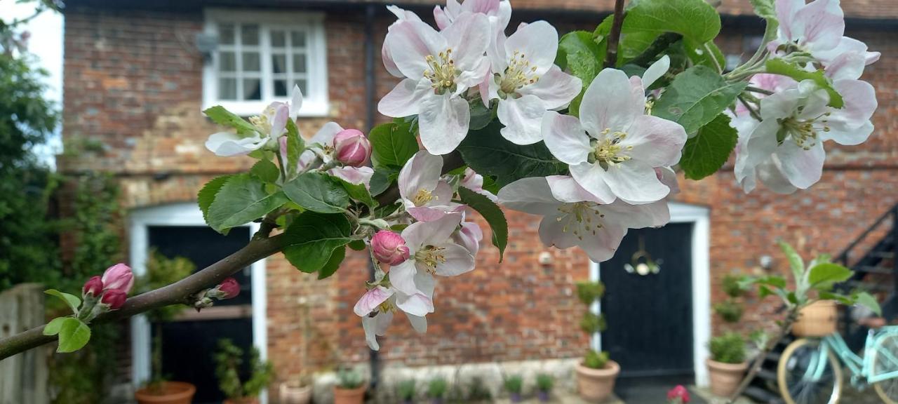 Plumpton Barn Villa Ashford  Dış mekan fotoğraf